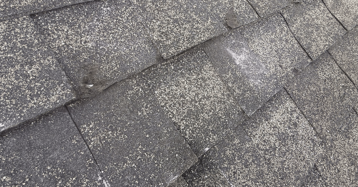 Close-up of hail-damaged TAMKO shingles